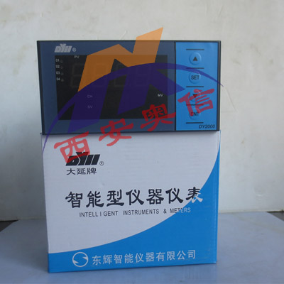 东辉大延DY21GJI166P4M锅炉水位控制器DY2000阀位反馈