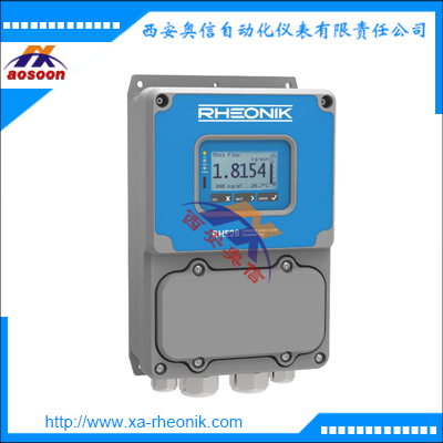 德国雷奥尼克流量计RHE28现场壁挂式质量流量变送器