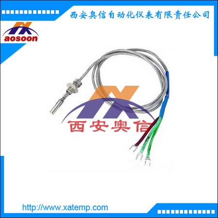  PT100缆式热电阻RT-SC带电缆 单保护管Pt100温度传感器
