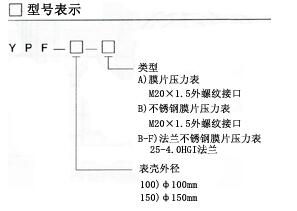 YPF-100B系列膜片压力表