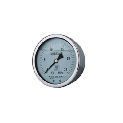 YTN-100系列不锈钢耐震压力表