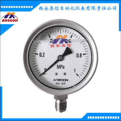 AXCG-100HM-Z全不锈钢耐震压力表