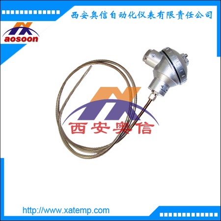 铠装铂电阻PT100 WZPK-303S 铠装热电阻 铠装温度计