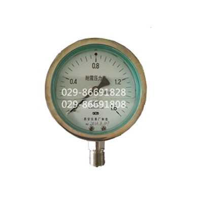 耐震不锈钢压力表YTF-60-Z YTF-100-Z YTF-150-Z