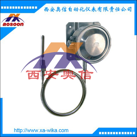 TWG气包式温度开关 全不锈钢外壳
