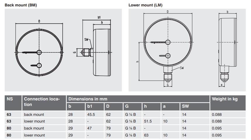 THM10温度压力计 经济型WIKA温度计