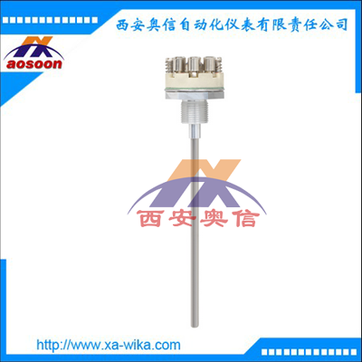 TC10-K测量探杆 适用于带防爆外壳的热电偶温度计