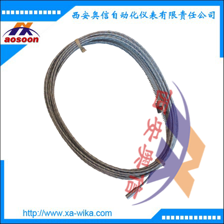 威卡缆式温度计 TC53卡口式热电偶温度计 WIKA温度计
