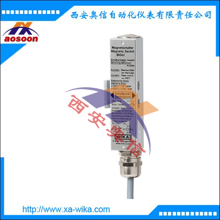 BGU-A威卡液位开关 KSR液位开关BGU-M12
