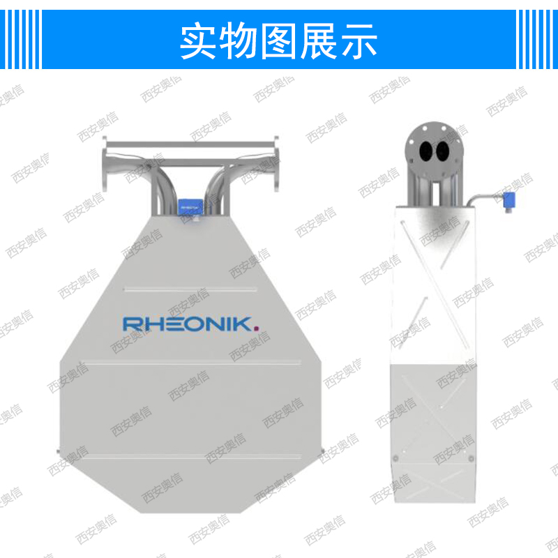 德国Rheonik雷奥尼克RHM80大口径质量流量计