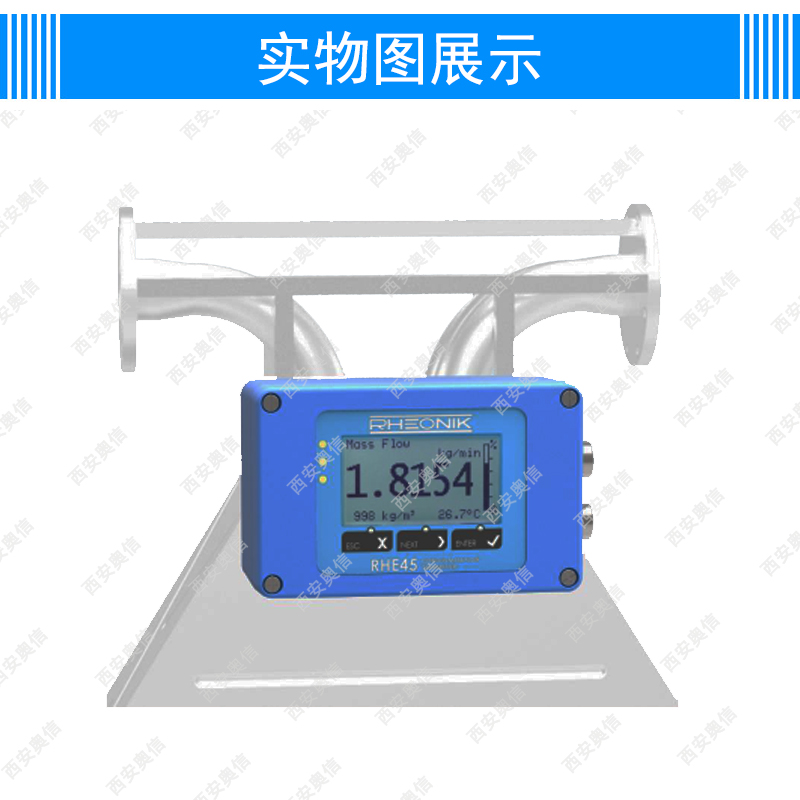 RHE45-CDD1-SOS1雷奥尼克智能变送器德国Rheonik
