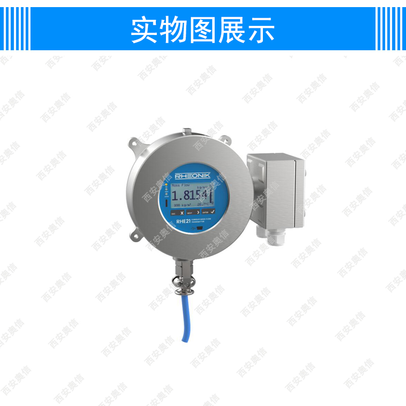 德国Rheonik雷奥尼克流量计RHE21E23多功能防爆变送器