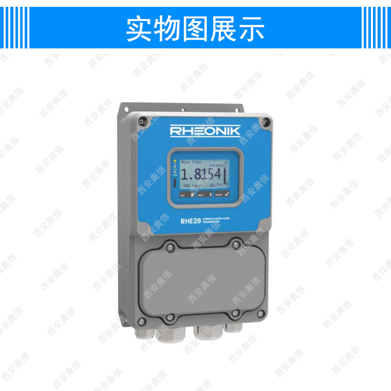 德国Rheonik雷奥尼克流量计RHE28现场壁挂式流量变送器