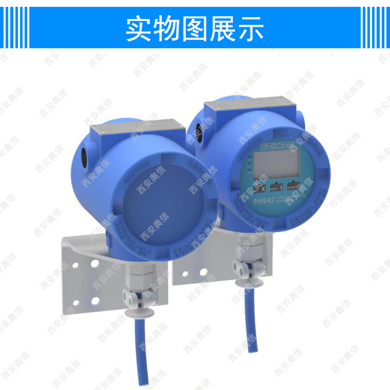 雷奥尼克RHE42一体化多功能数显流量计Rheonik德国