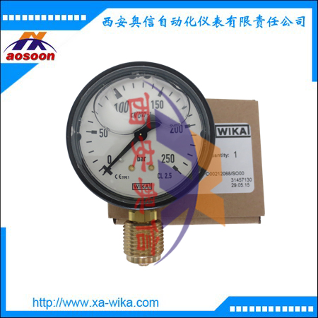威卡压力表113.13.063 德国WIKA波登管压力表