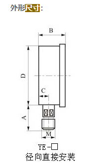 YE-60膜盒压力表