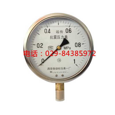 YTZN-150耐震远传压力表