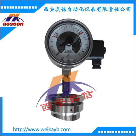 WIKA压力表带卫生隔膜PGS23.100+910.20 wika隔膜压力表