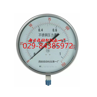 Y-250BF不锈钢压力