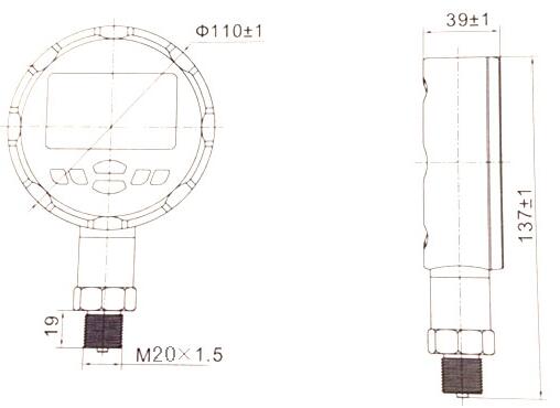 精密数字压力表DP385