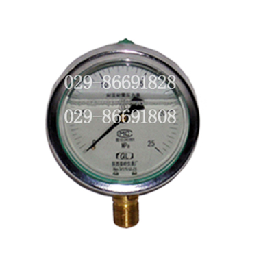 耐震压力表YTN-100 YTN-150