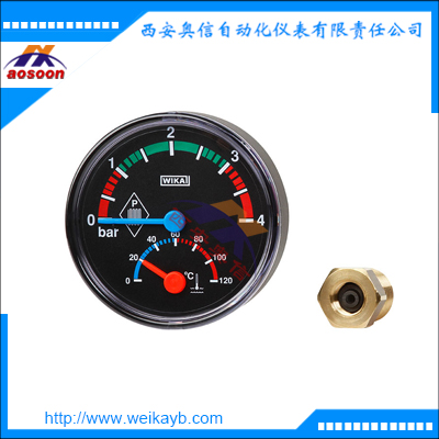 THM10温度压力计 经济型WIKA温度计